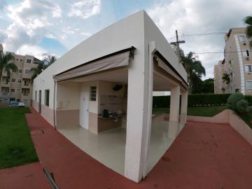 Alugar Apartamento / Padrão em São José do Rio Preto apenas R$ 800,00 - Foto 23
