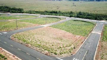 Comprar Terreno / Padrão em São José do Rio Preto apenas R$ 95.000,00 - Foto 4 Comprar Terreno / Padrão em São José do Rio Preto apenas R$ 95.000,00 - Foto 4