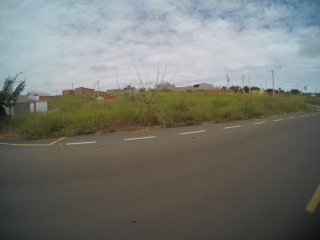 Comprar Terreno / Padrão em São José do Rio Preto apenas R$ 236.000,00 - Foto 1 Comprar Terreno / Padrão em São José do Rio Preto apenas R$ 236.000,00 - Foto 1