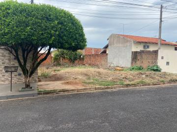 Alugar Terreno / Padrão em São José do Rio Preto. apenas R$ 95.000,00