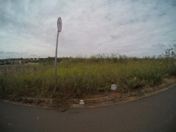 Comprar Terreno / Padrão em São José do Rio Preto apenas R$ 176.000,00 - Foto 1 Comprar Terreno / Padrão em São José do Rio Preto apenas R$ 176.000,00 - Foto 1