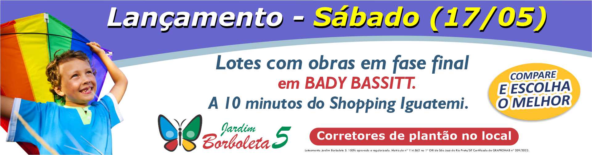Borboleta 5