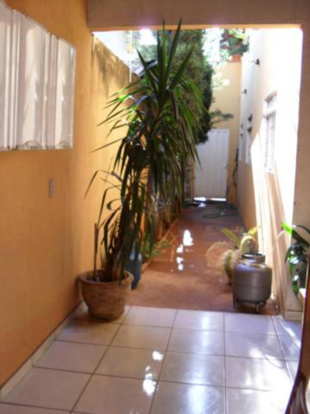 Alugar Casa / Padrão em São José do Rio Preto apenas R$ 900,00 - Foto 6