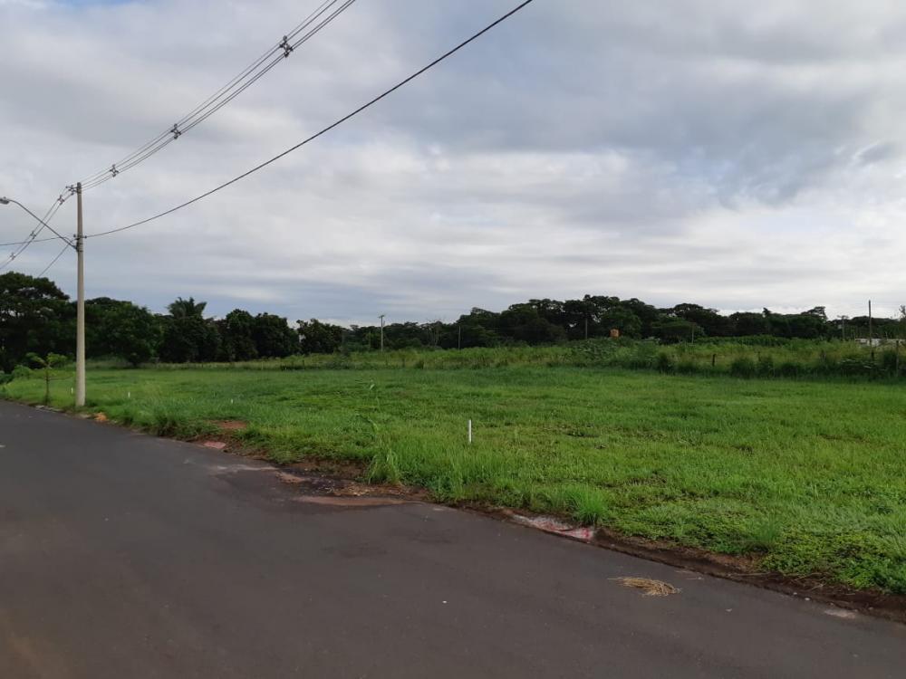 Comprar Terreno / Área em Bady Bassitt R$ 4.200.000,00 - Foto 3