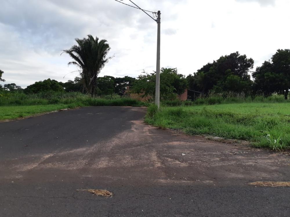 Comprar Terreno / Área em Bady Bassitt R$ 4.200.000,00 - Foto 3