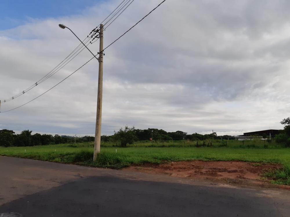 Comprar Terreno / Área em Bady Bassitt R$ 4.200.000,00 - Foto 4