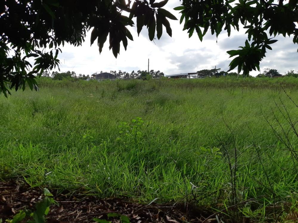 Comprar Terreno / Área em Bady Bassitt R$ 4.200.000,00 - Foto 6