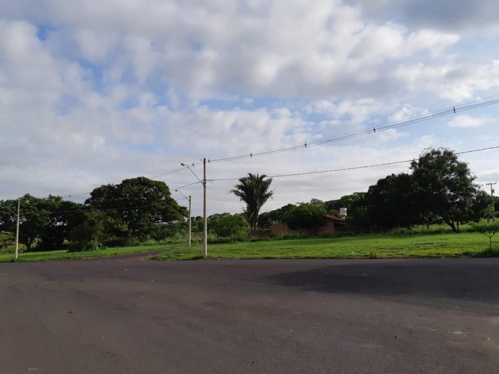 Comprar Terreno / Área em Bady Bassitt R$ 4.200.000,00 - Foto 8