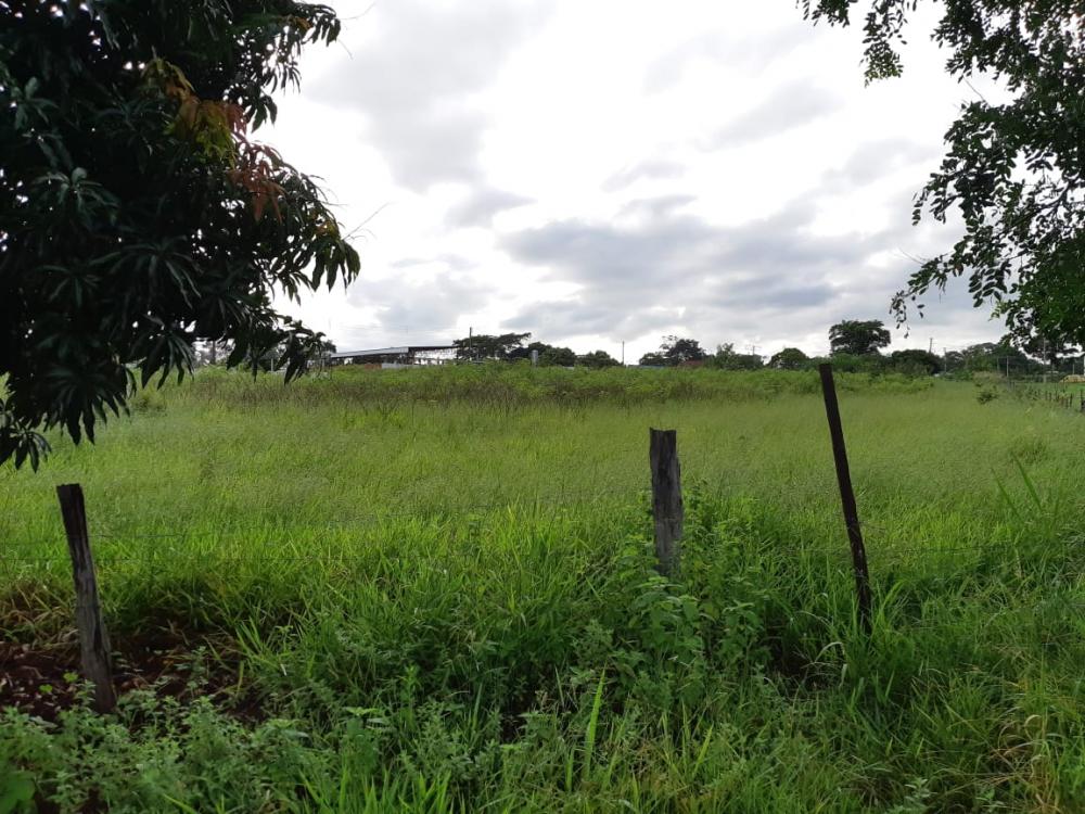 Comprar Terreno / Área em Bady Bassitt R$ 4.200.000,00 - Foto 8