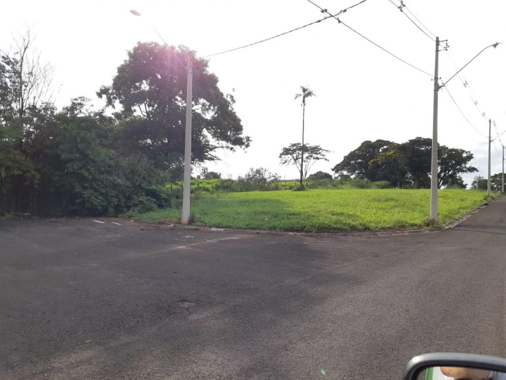 Comprar Terreno / Área em Bady Bassitt R$ 4.200.000,00 - Foto 9