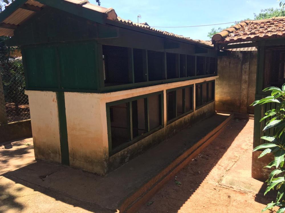 Comprar Rural / Chácara em São José do Rio Preto R$ 1.800.000,00 - Foto 8