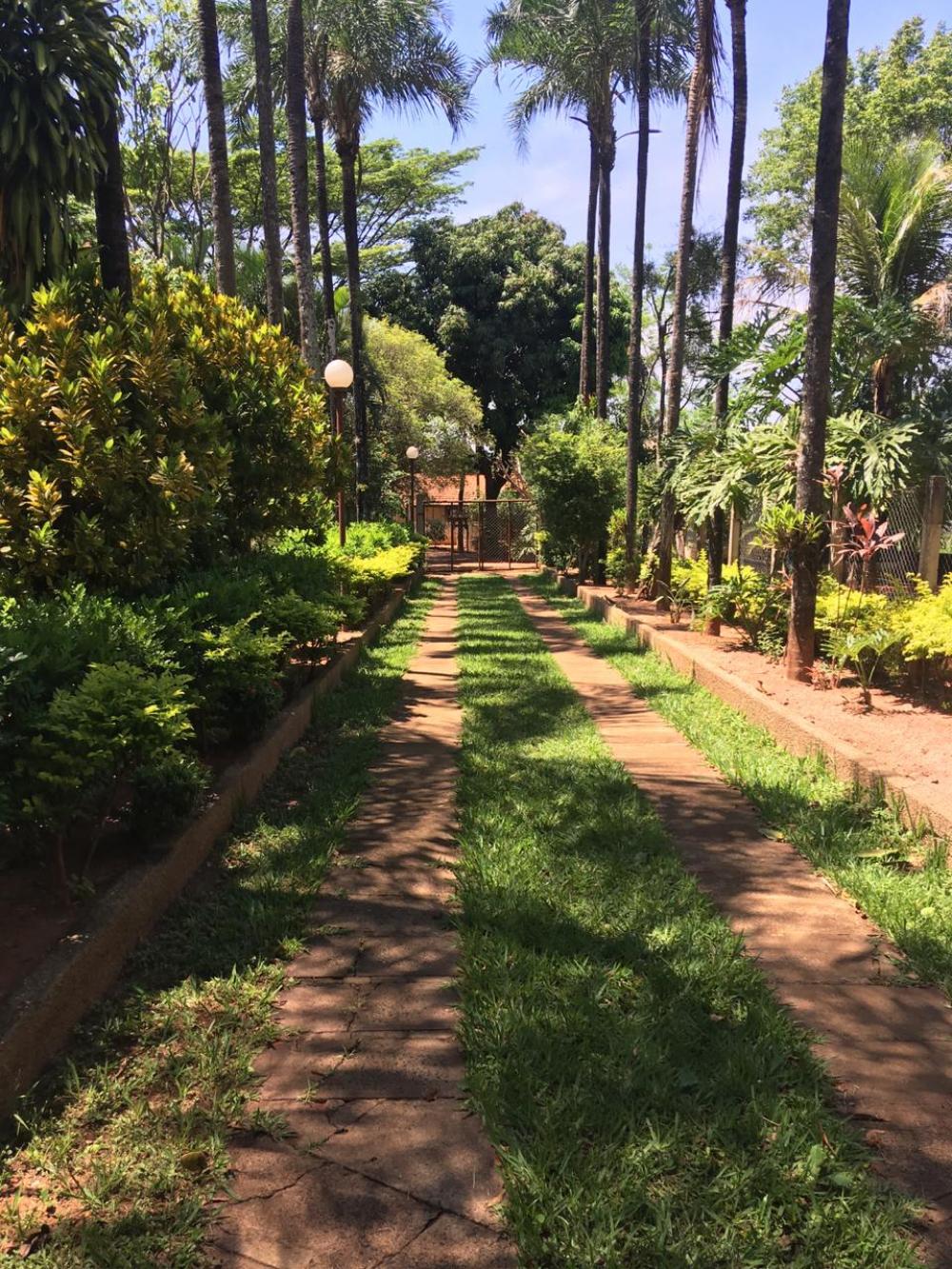 Comprar Rural / Chácara em São José do Rio Preto R$ 1.800.000,00 - Foto 9