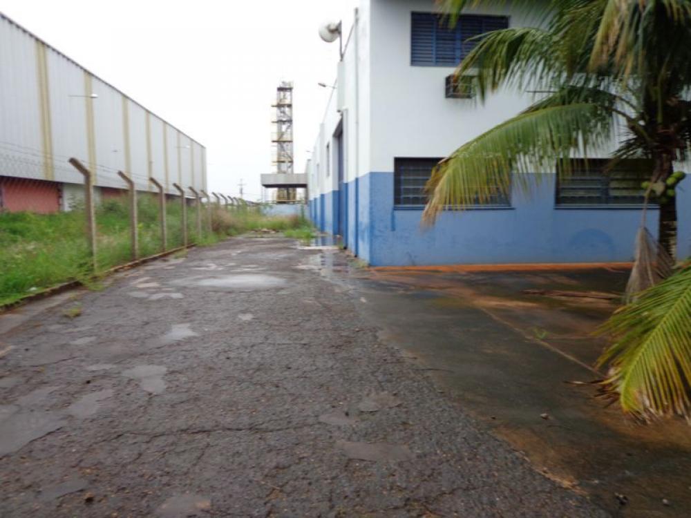 Comprar Comercial / Salão em São José do Rio Preto apenas R$ 3.500.000,00 - Foto 1