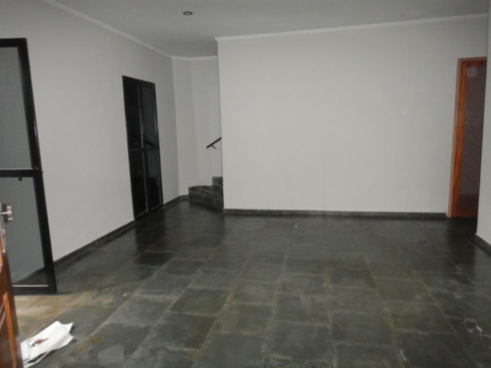 Alugar Casa / Sobrado em São José do Rio Preto R$ 1.200,00 - Foto 36
