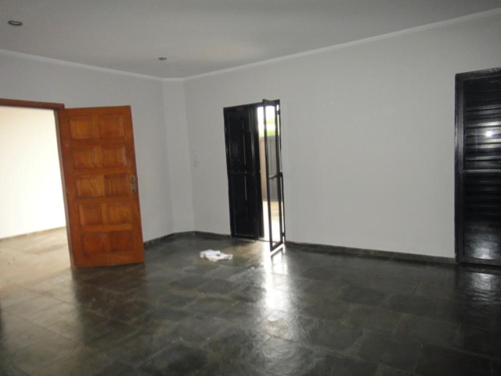 Alugar Casa / Sobrado em São José do Rio Preto R$ 1.200,00 - Foto 37