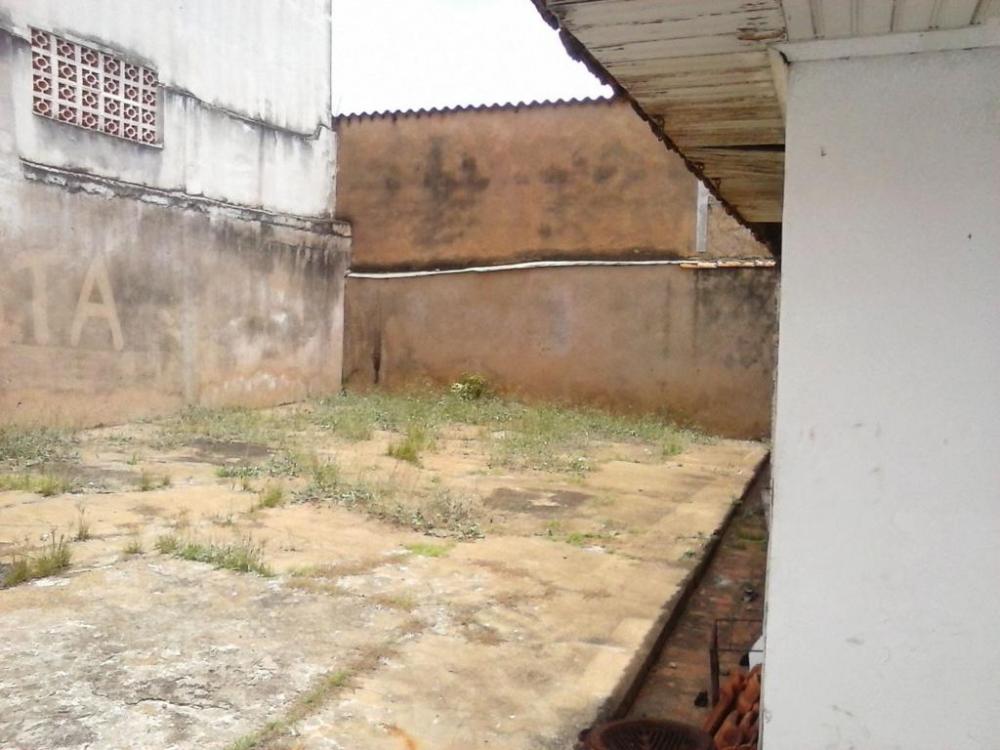 Comprar Casa / Padrão em São José do Rio Preto apenas R$ 1.300.000,00 - Foto 7