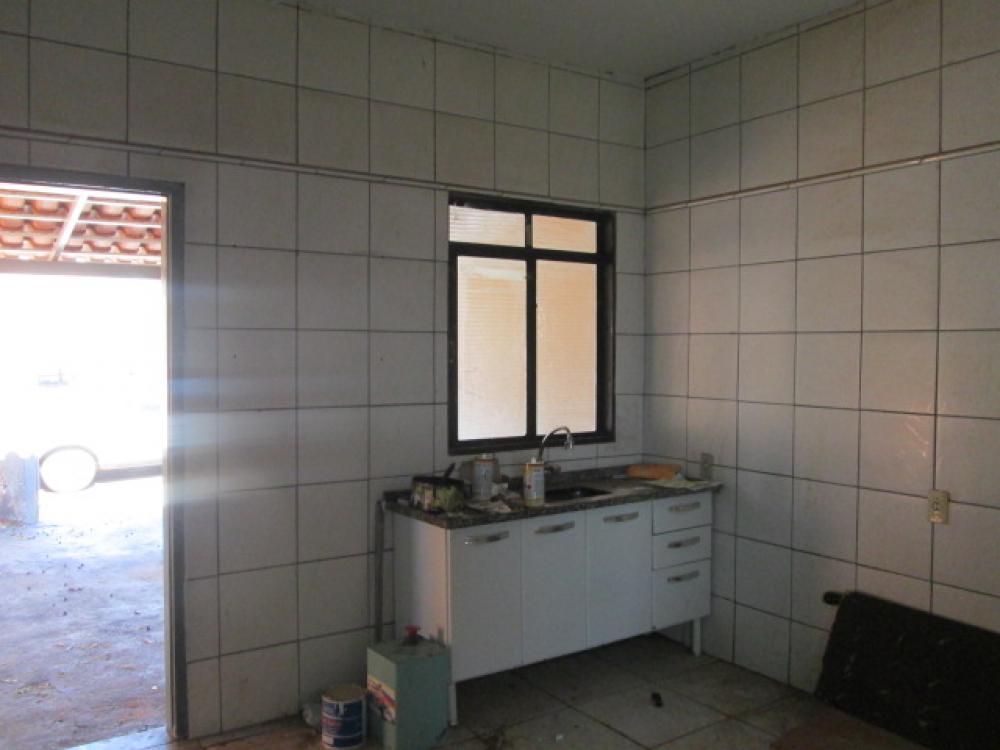 Alugar Casa / Padrão em São José do Rio Preto apenas R$ 600,00 - Foto 5