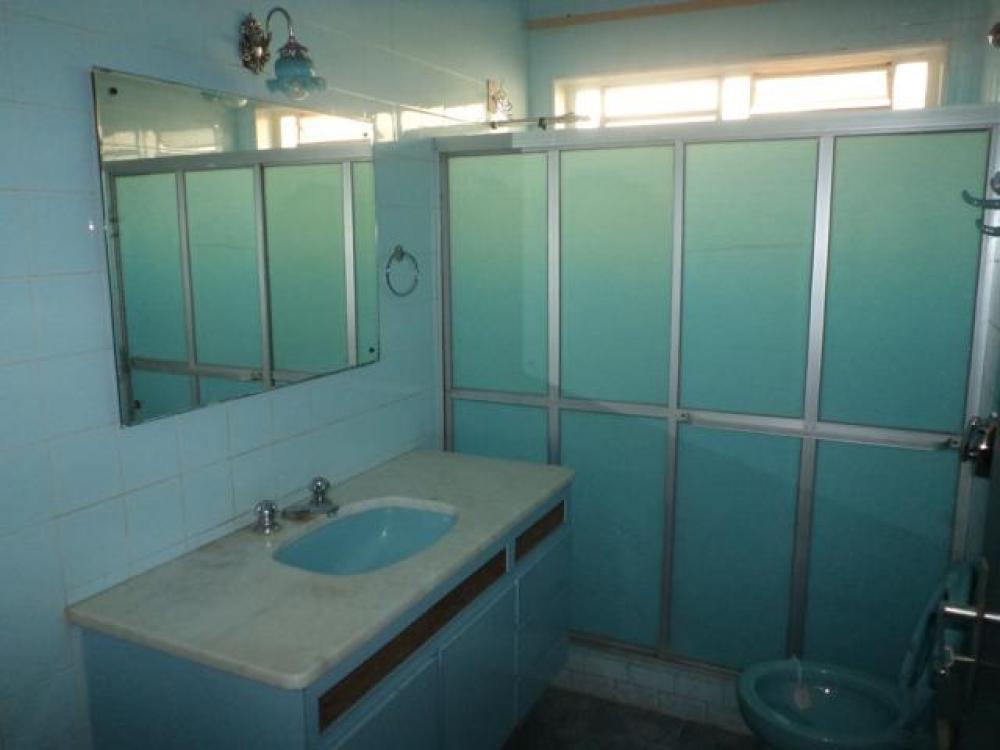 Alugar Comercial / Casa Comercial em São José do Rio Preto R$ 6.000,00 - Foto 13