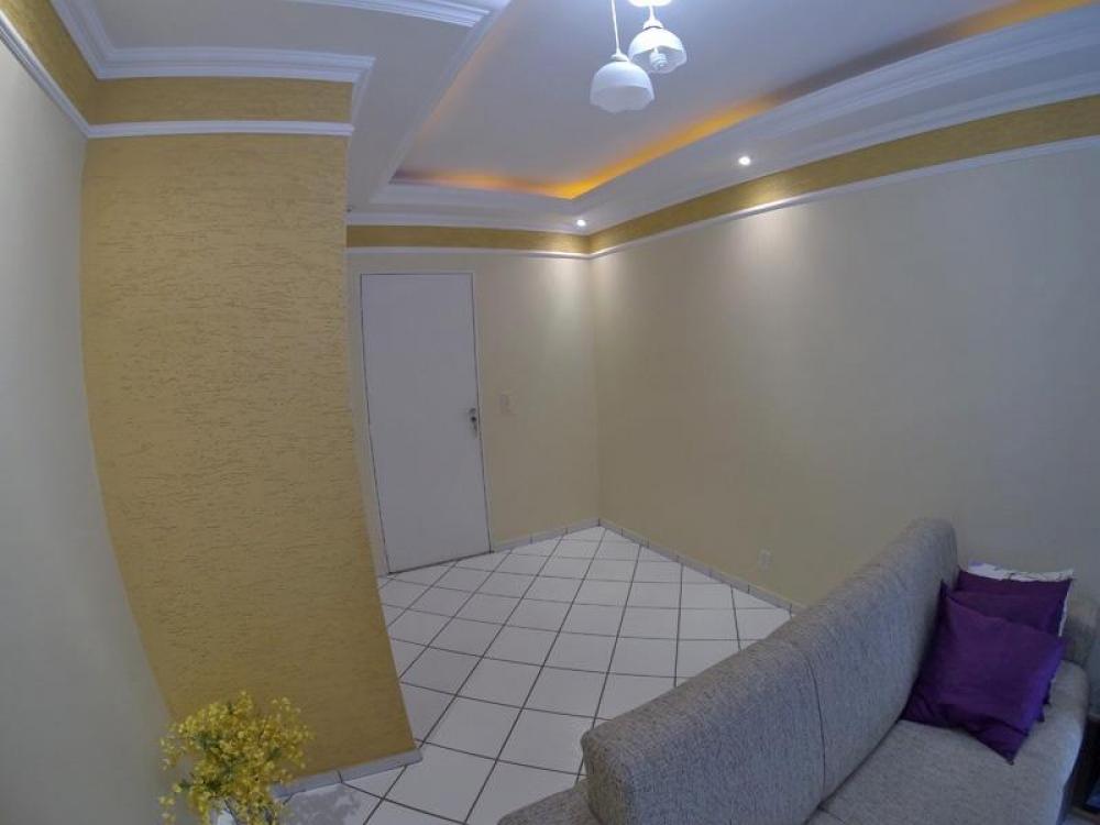 Comprar Apartamento / Padrão em São José do Rio Preto apenas R$ 220.000,00 - Foto 6