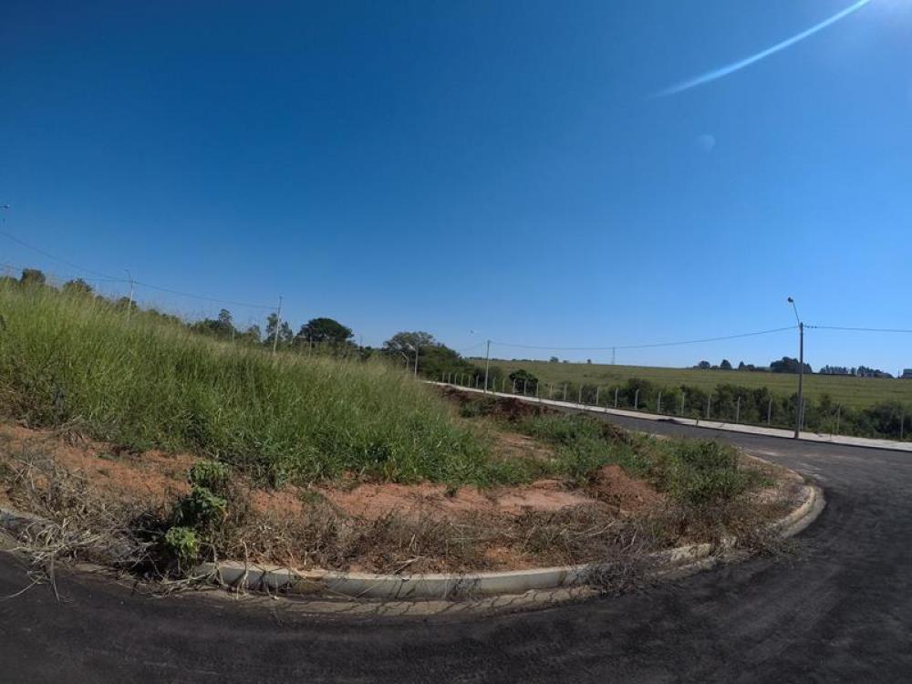 Comprar Terreno / Padrão em São José do Rio Preto R$ 136.000,00 - Foto 10