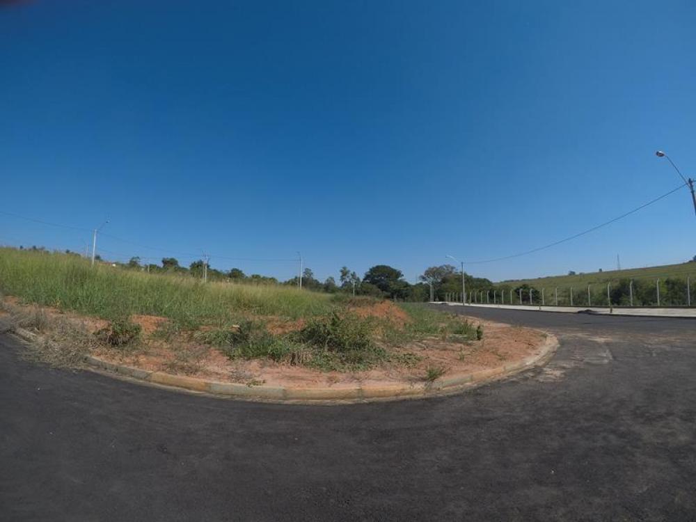 Comprar Terreno / Padrão em São José do Rio Preto R$ 136.000,00 - Foto 11