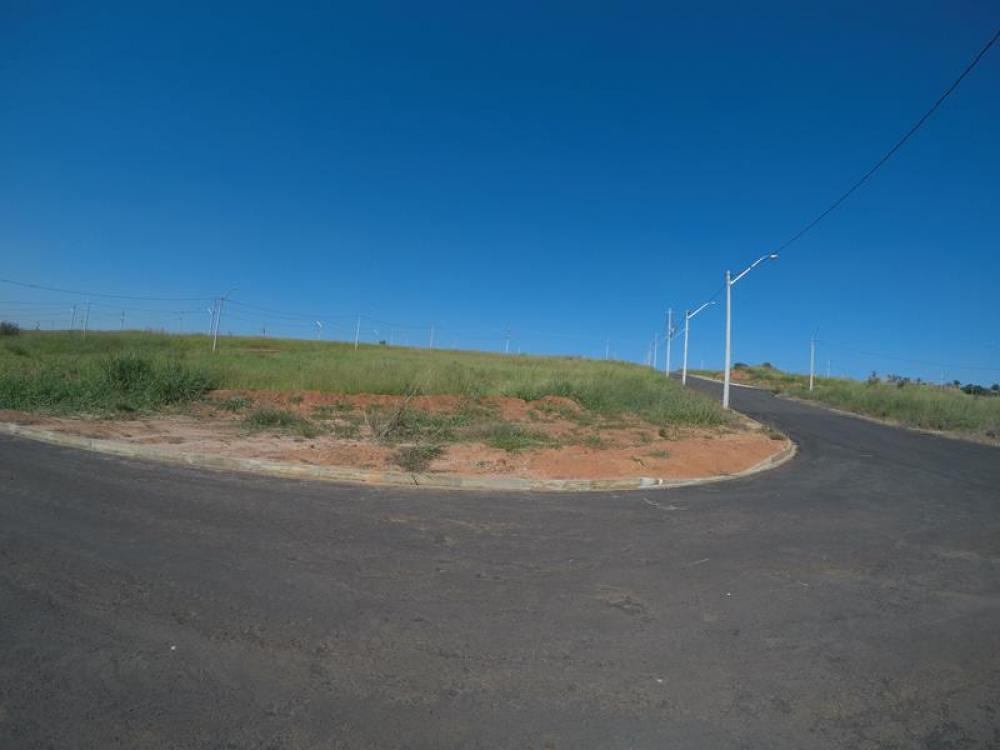 Comprar Terreno / Padrão em São José do Rio Preto R$ 139.500,00 - Foto 4