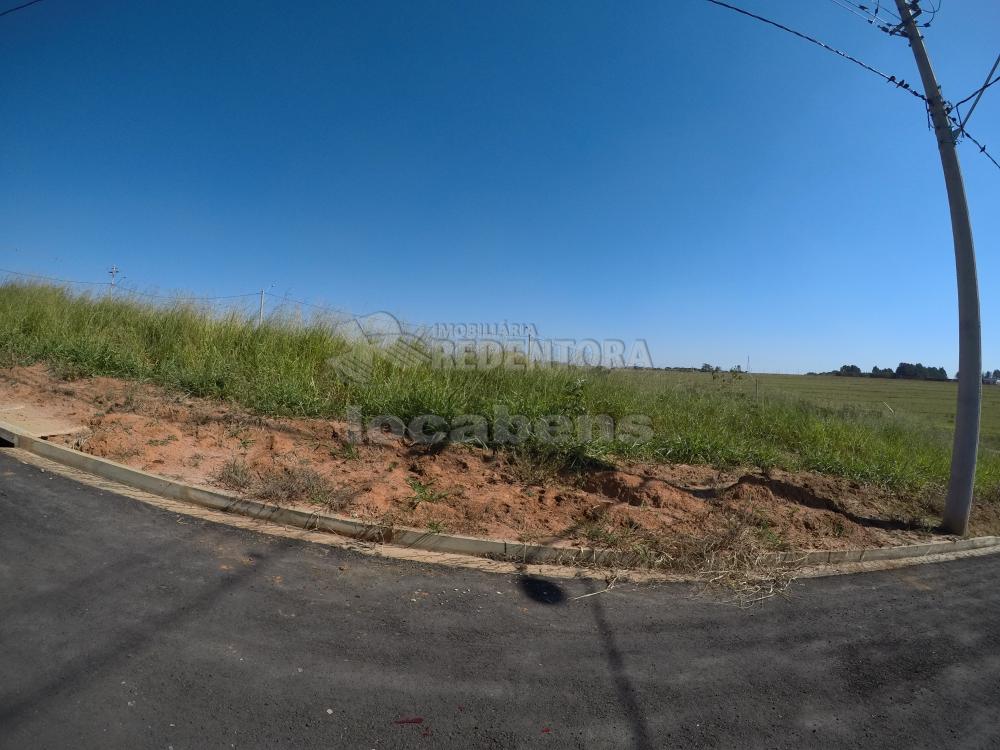 Comprar Terreno / Padrão em São José do Rio Preto R$ 120.000,00 - Foto 2