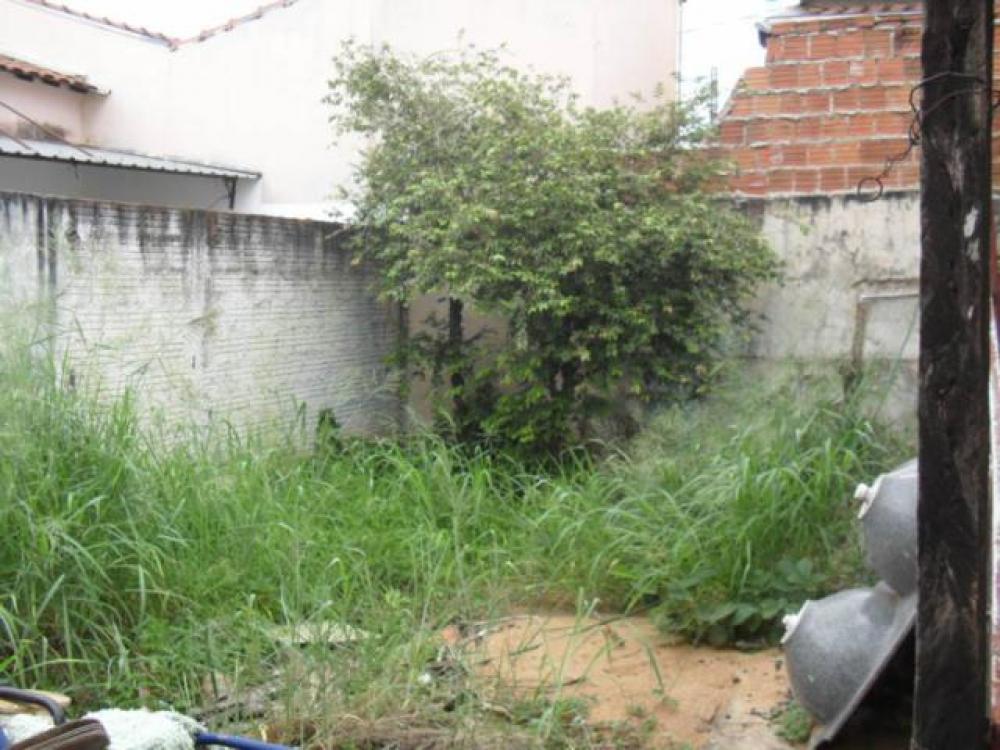 Comprar Casa / Padrão em São José do Rio Preto apenas R$ 350.000,00 - Foto 7