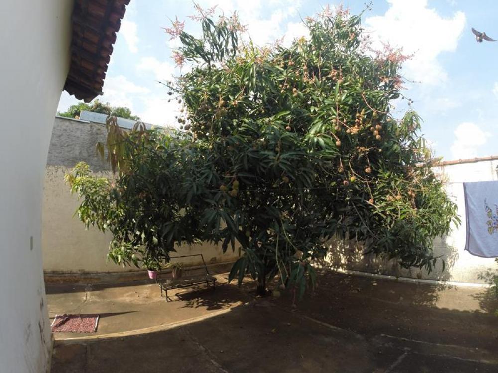 Comprar Casa / Padrão em Bady Bassitt apenas R$ 320.000,00 - Foto 12