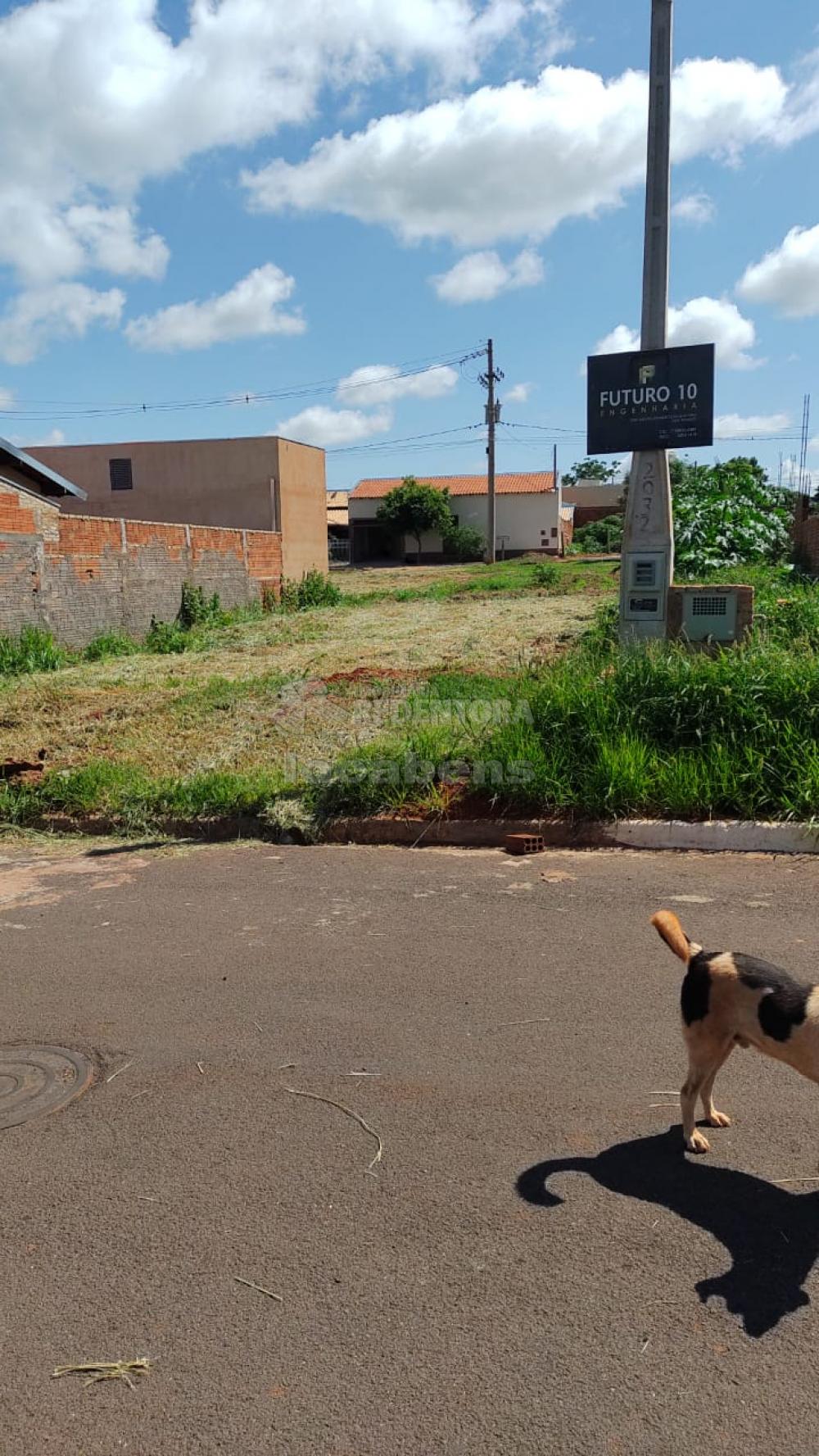 Comprar Terreno / Padrão em Palestina R$ 50.000,00 - Foto 3