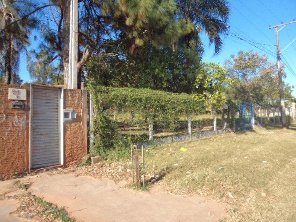 Comprar Terreno / Área em São José do Rio Preto R$ 12.000.000,00 - Foto 2