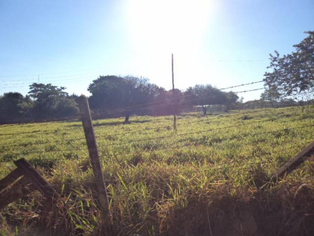 Comprar Terreno / Área em São José do Rio Preto R$ 12.000.000,00 - Foto 10