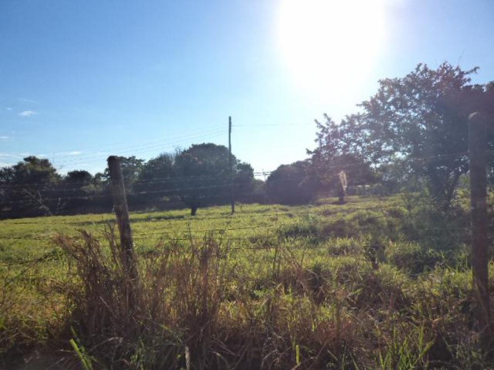 Comprar Terreno / Área em São José do Rio Preto R$ 12.000.000,00 - Foto 9