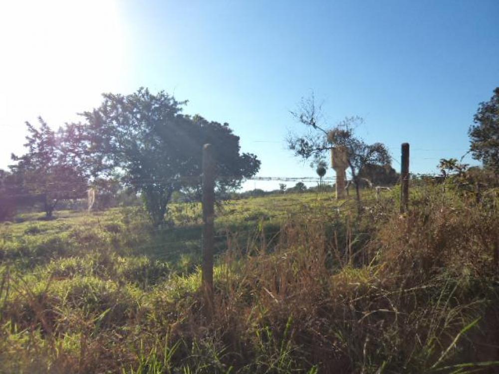 Comprar Terreno / Área em São José do Rio Preto R$ 12.000.000,00 - Foto 12