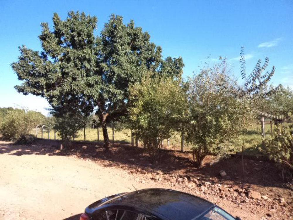 Comprar Terreno / Área em São José do Rio Preto R$ 12.000.000,00 - Foto 18