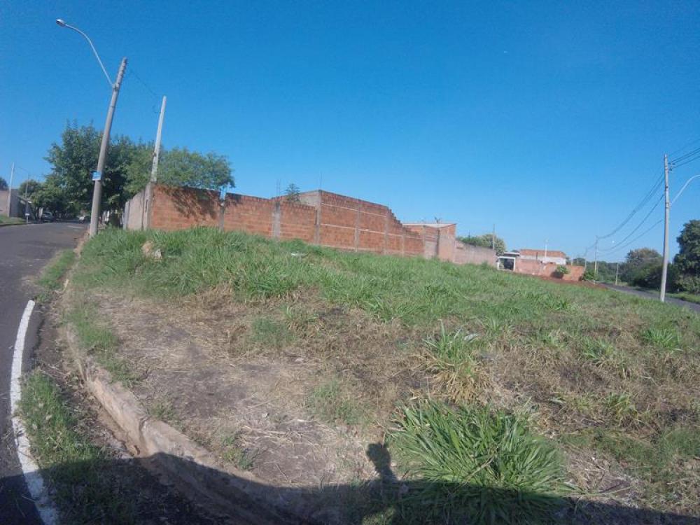 Alugar Terreno / Padrão em São José do Rio Preto R$ 500,00 - Foto 2