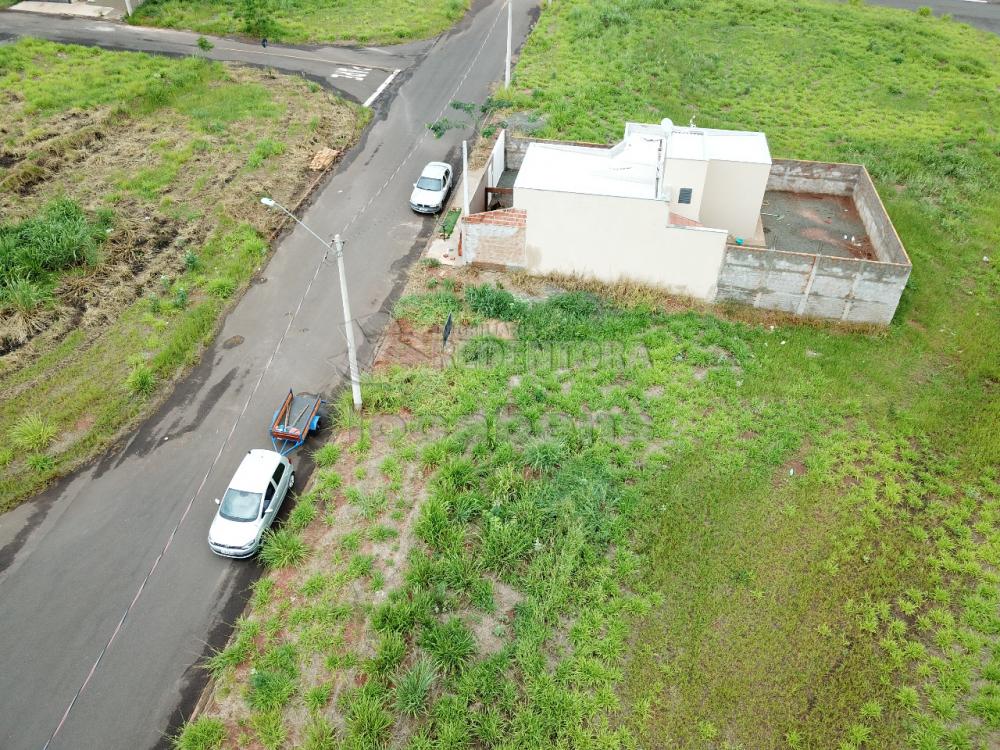 Comprar Terreno / Padrão em Bady Bassitt apenas R$ 75.000,00 - Foto 5