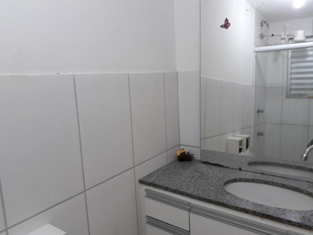 Comprar Apartamento / Padrão em São José do Rio Preto R$ 240.000,00 - Foto 16