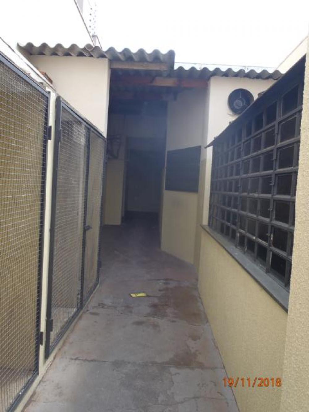 Alugar Comercial / Casa Comercial em São José do Rio Preto apenas R$ 5.000,00 - Foto 28