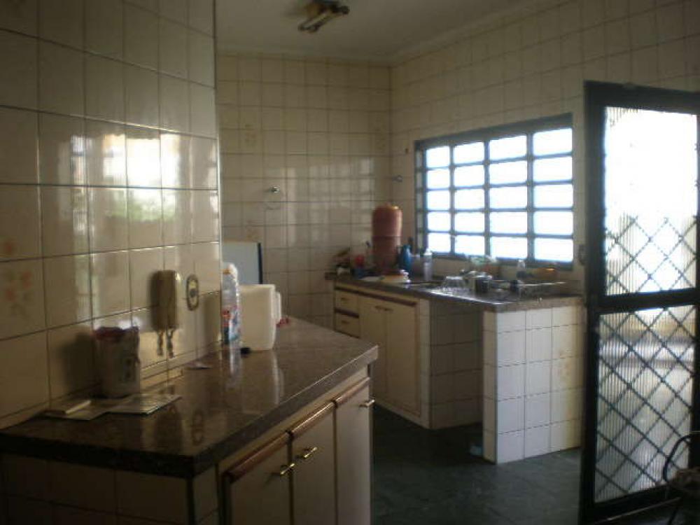 Alugar Casa / Padrão em São José do Rio Preto R$ 3.500,00 - Foto 15