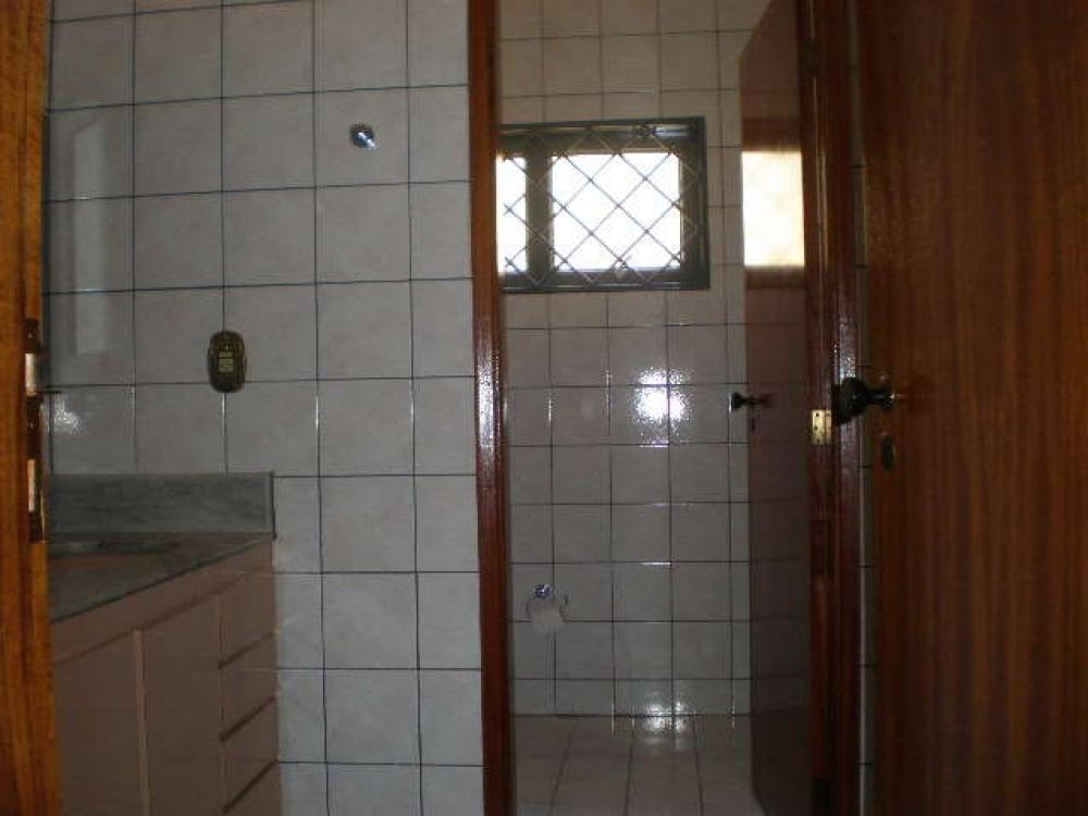 Alugar Casa / Padrão em São José do Rio Preto R$ 3.500,00 - Foto 24