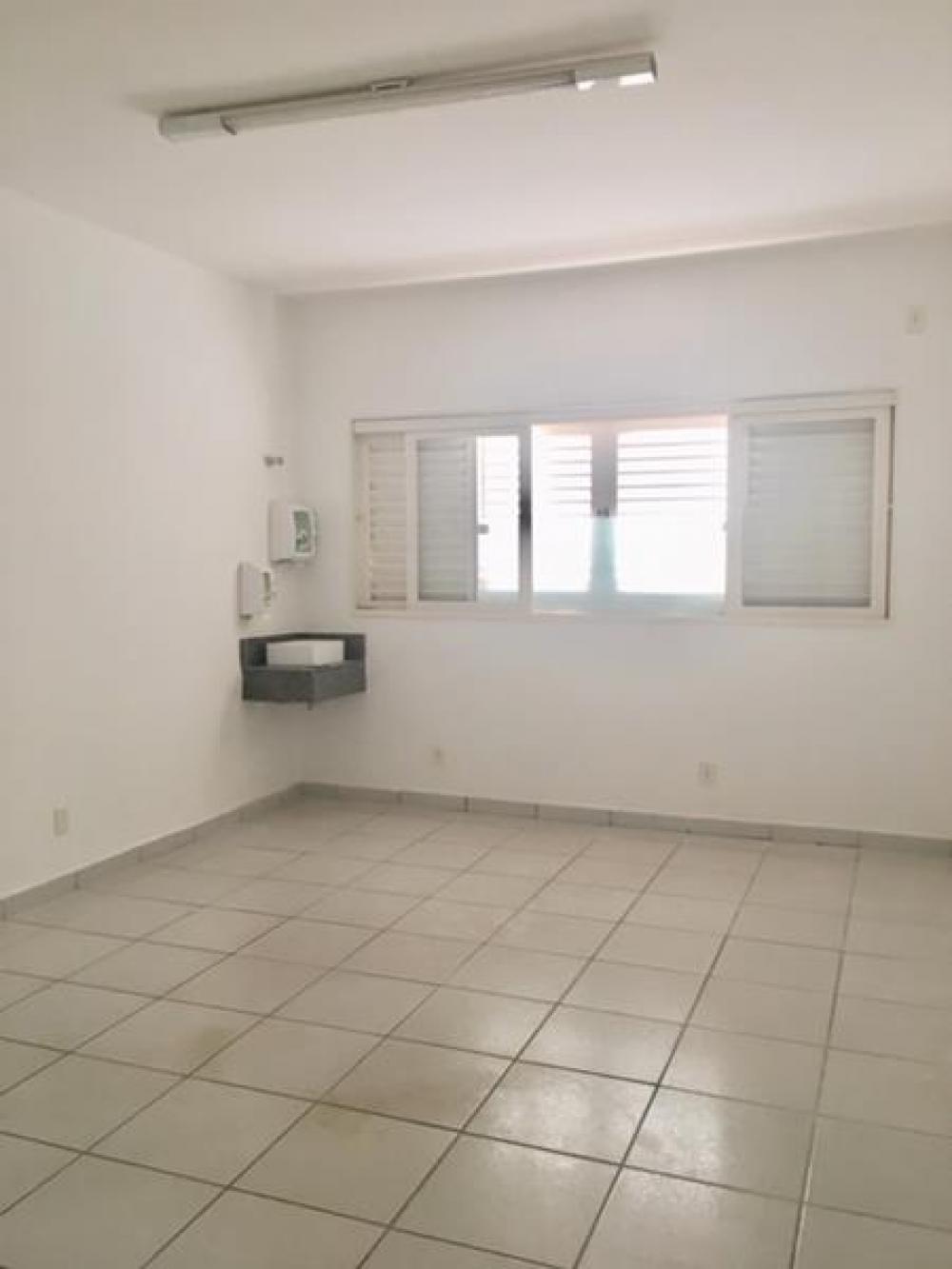 Alugar Comercial / Casa Comercial em São José do Rio Preto R$ 6.600,00 - Foto 1