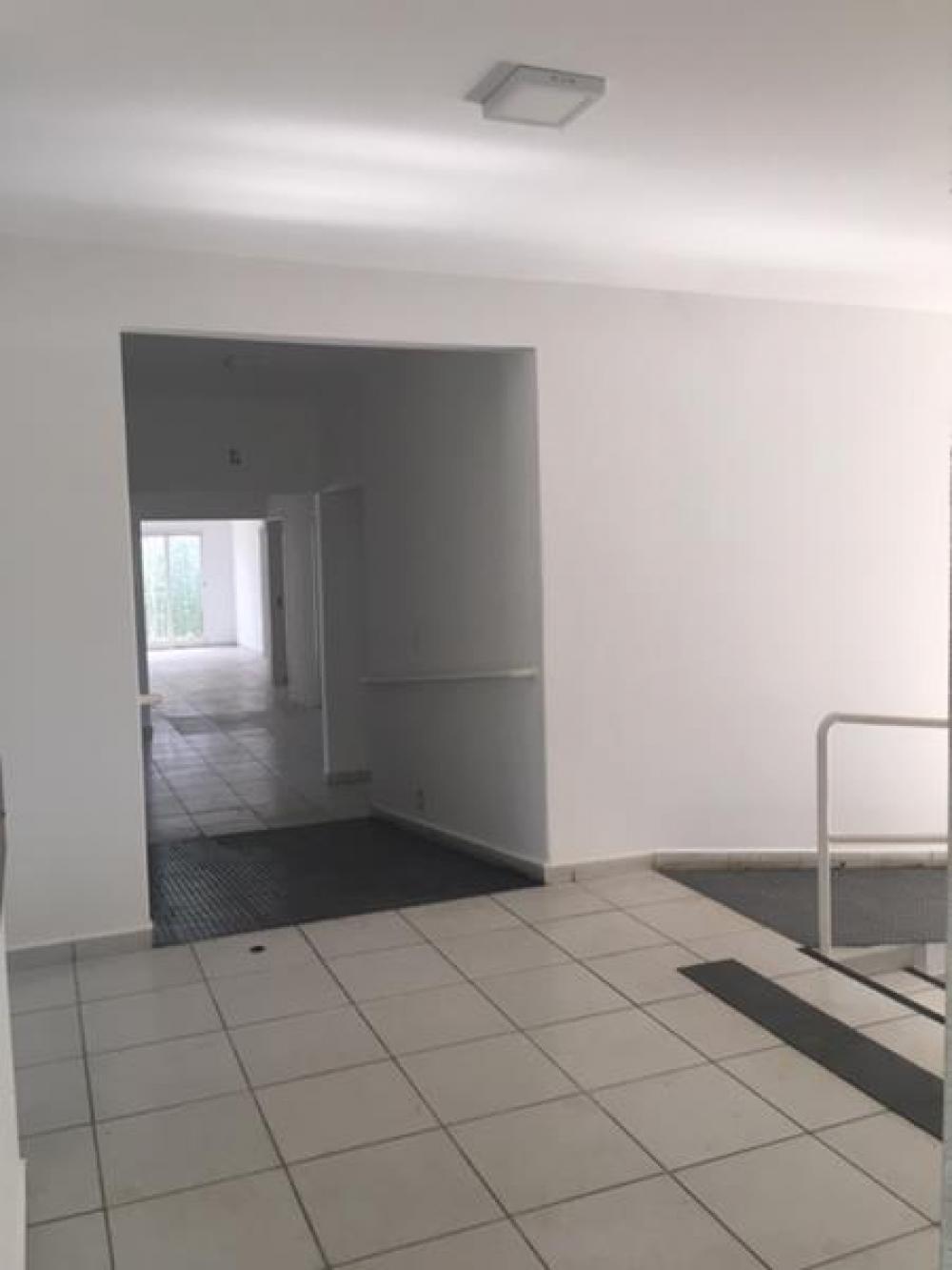 Alugar Comercial / Casa Comercial em São José do Rio Preto R$ 6.600,00 - Foto 5