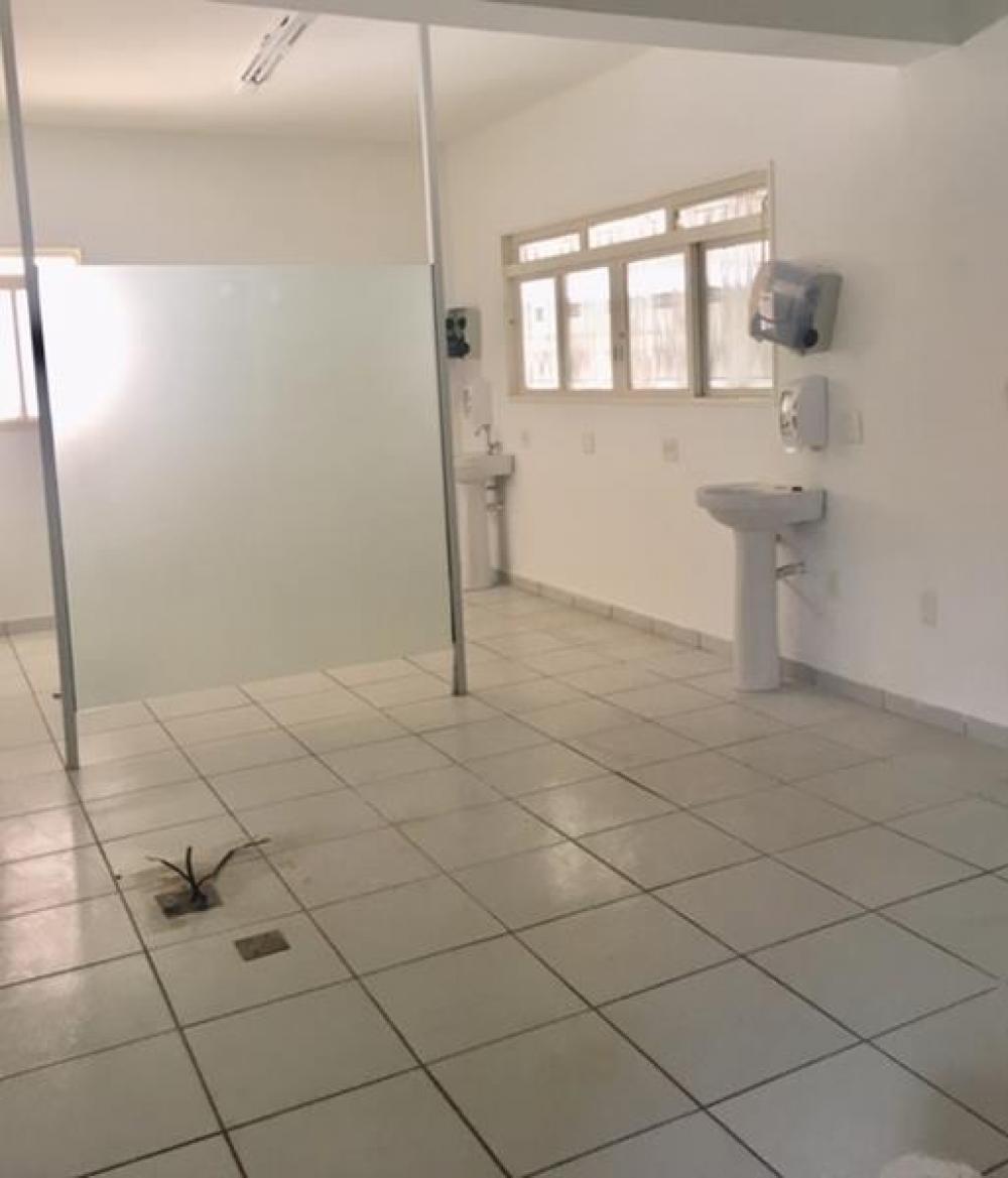 Alugar Comercial / Casa Comercial em São José do Rio Preto R$ 6.600,00 - Foto 9