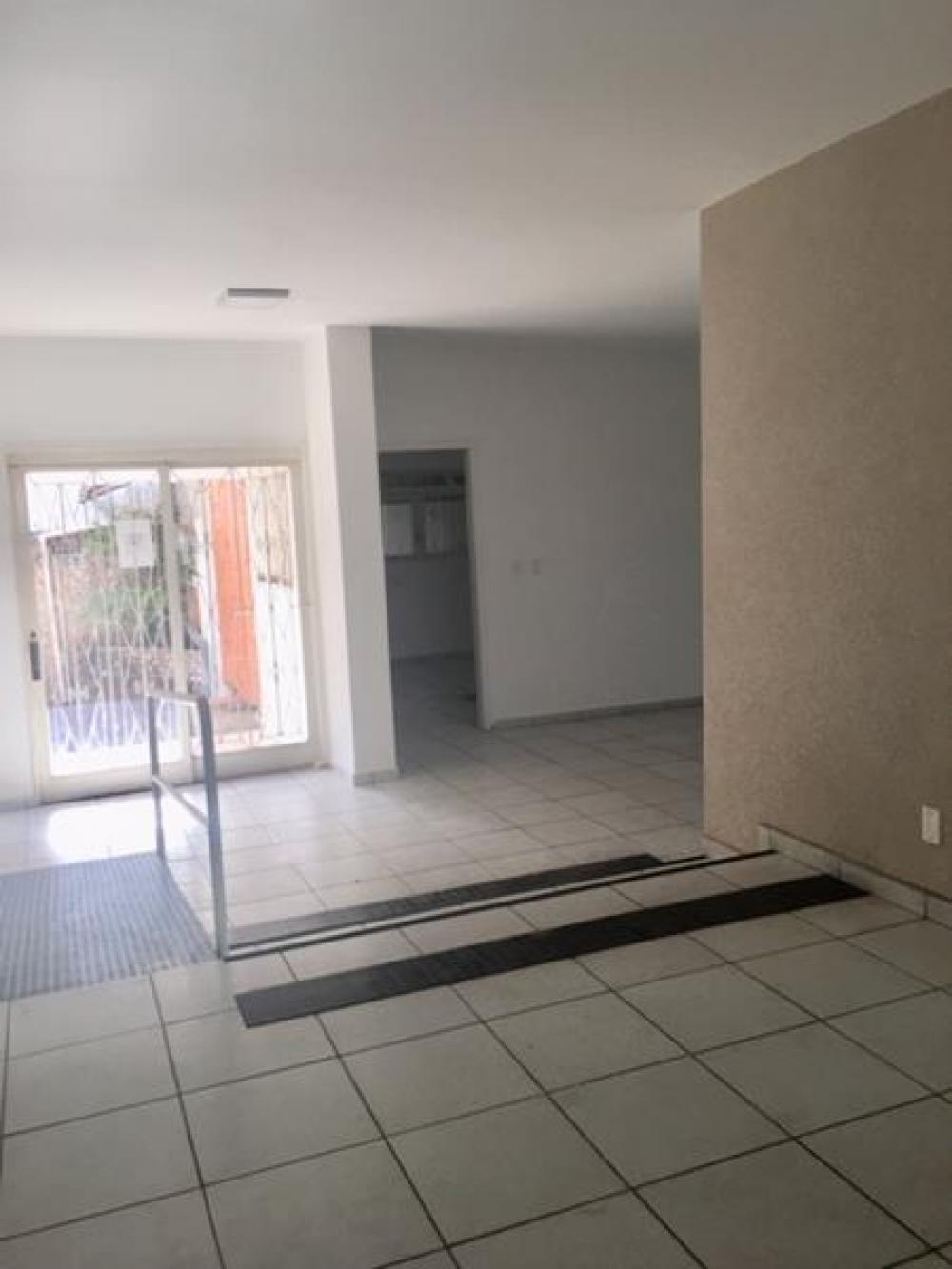 Alugar Comercial / Casa Comercial em São José do Rio Preto R$ 6.600,00 - Foto 14