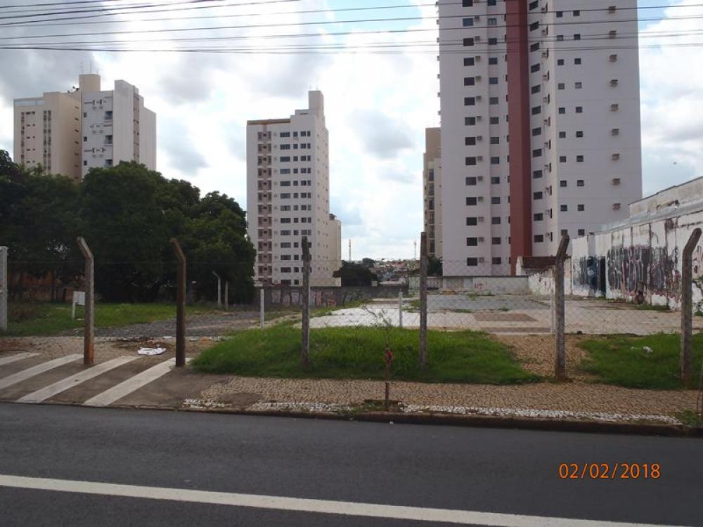 Alugar Terreno / Área em São José do Rio Preto R$ 10.000,00 - Foto 3