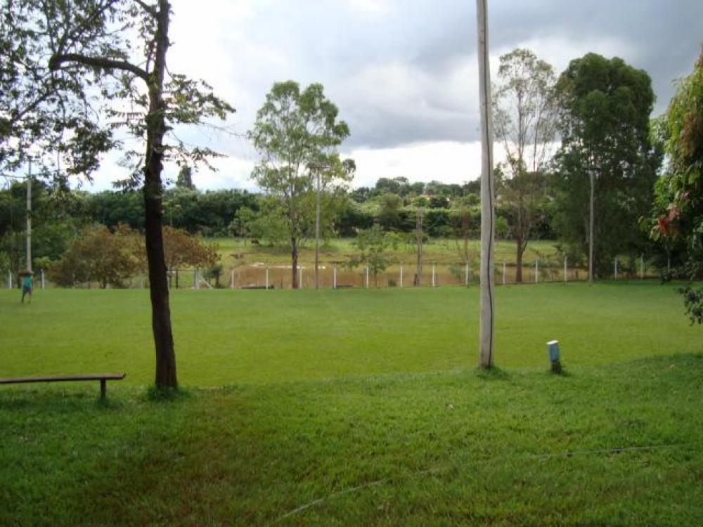 Comprar Rural / Chácara em São José do Rio Preto R$ 1.500.000,00 - Foto 11