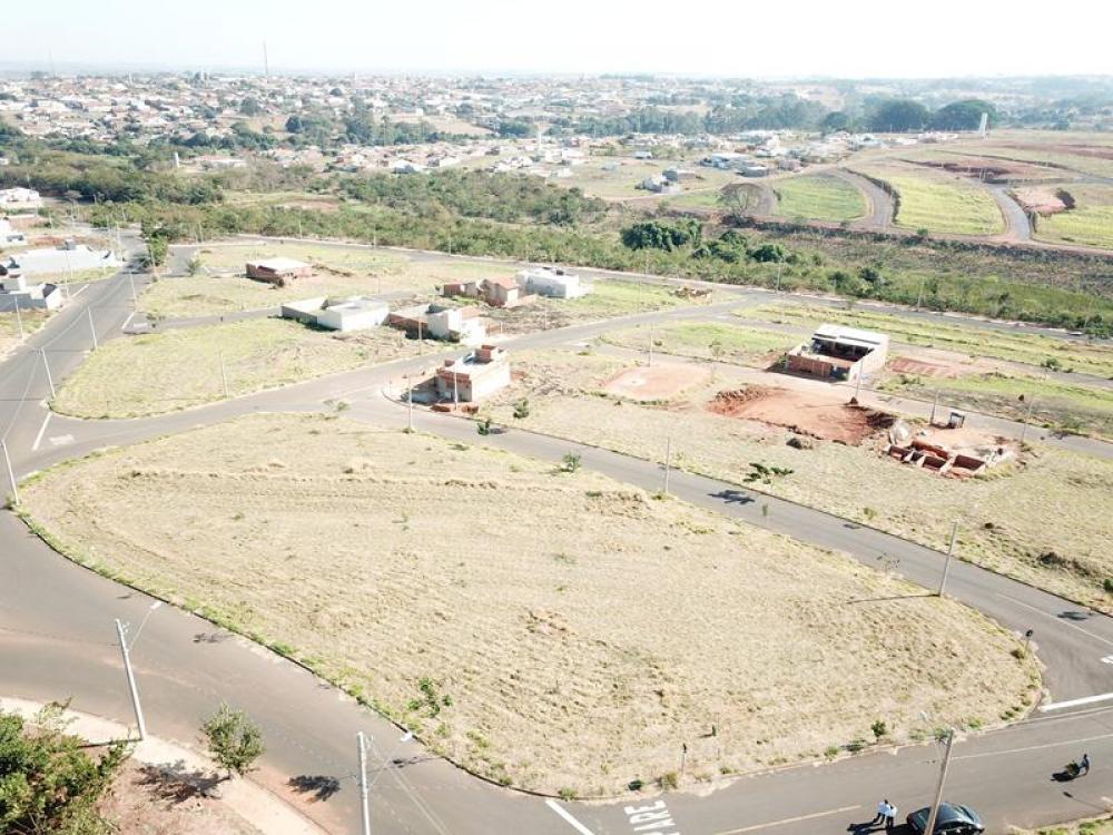Comprar Terreno / Área em Bady Bassitt apenas R$ 1.000.000,00 - Foto 14