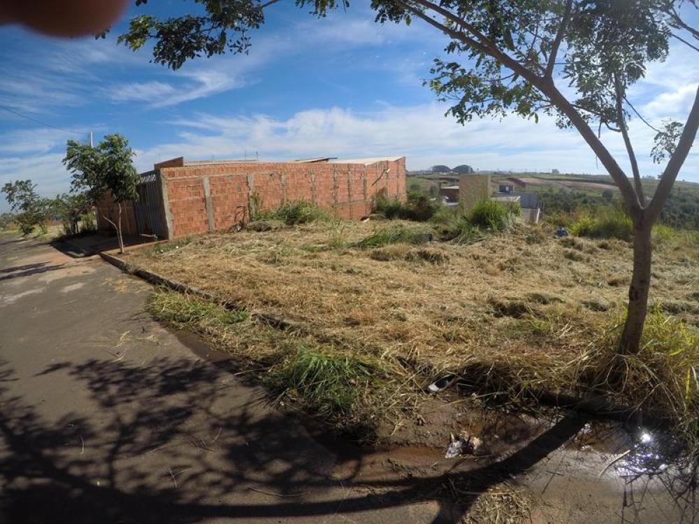 Comprar Terreno / Padrão em Bady Bassitt apenas R$ 55.000,00 - Foto 4