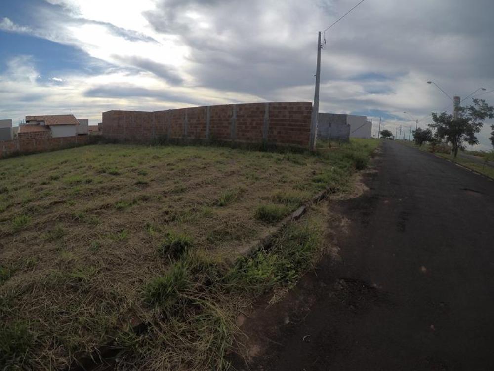 Comprar Terreno / Padrão em Bady Bassitt R$ 82.000,00 - Foto 4